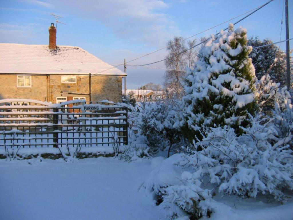 Quiet Woman House Bed & Breakfast Halstock Exterior photo
