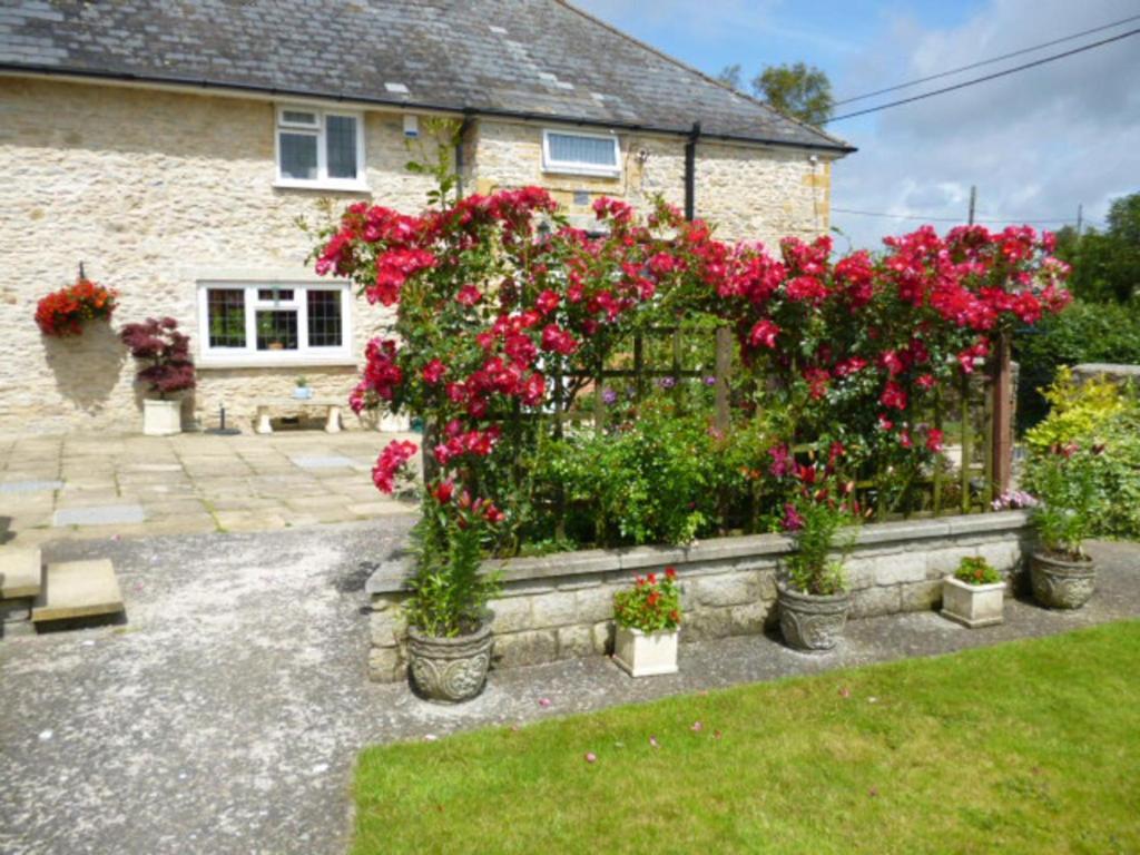 Quiet Woman House Bed & Breakfast Halstock Exterior photo